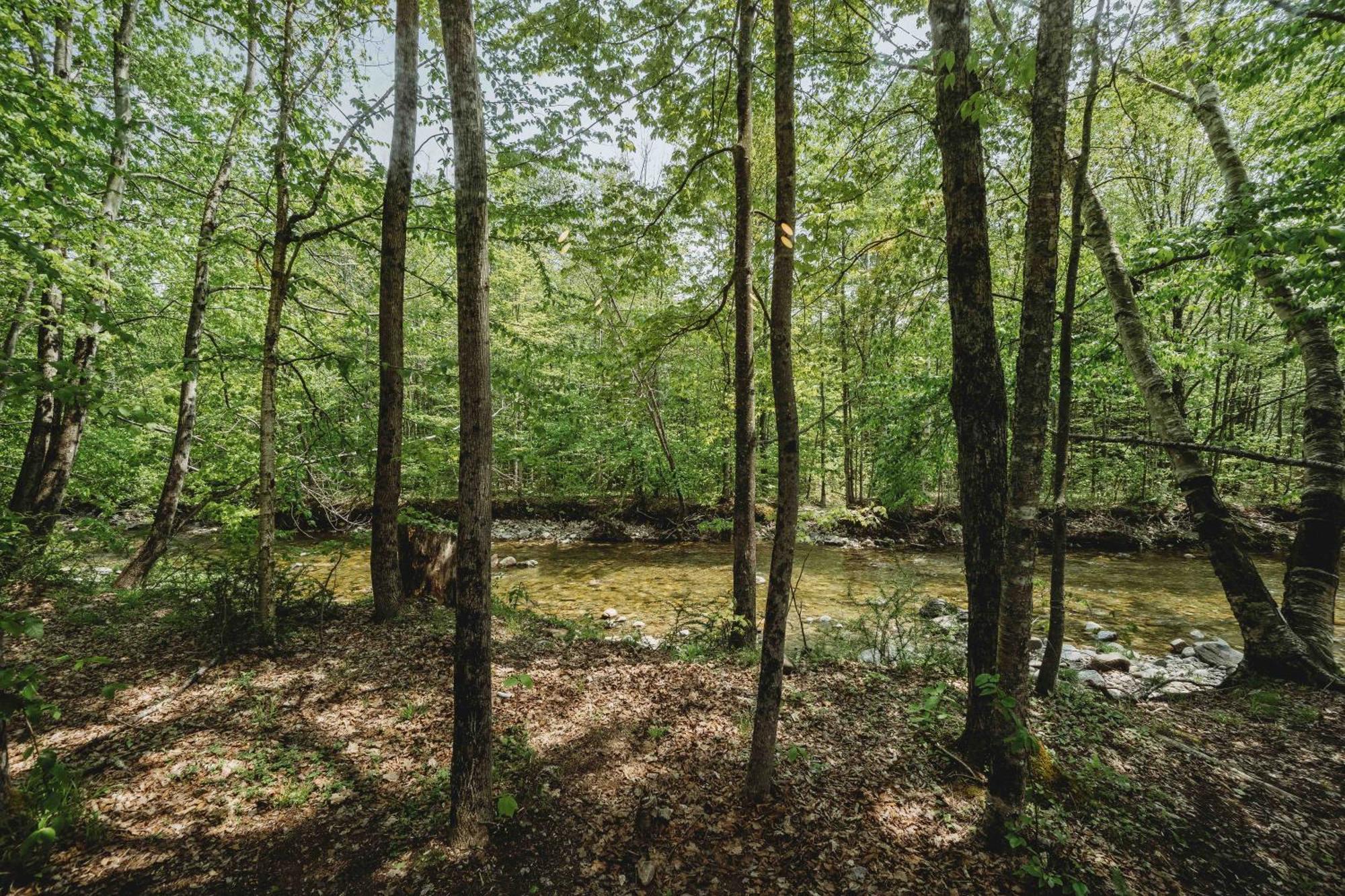 וודסטוק Lumen Nature Retreat חדר תמונה